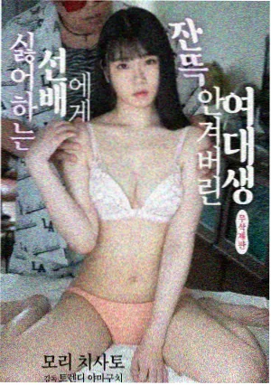 高分片单分类示意图